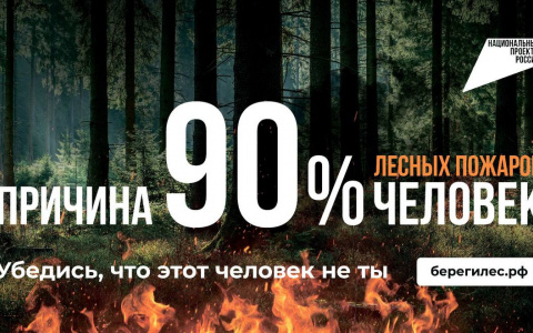 Останови огонь! 