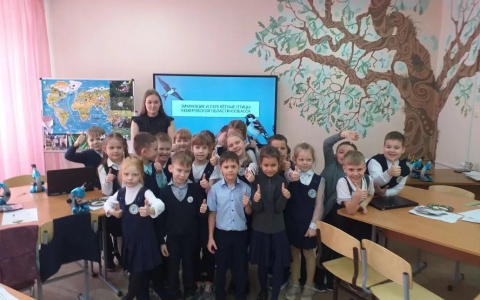 Птицы родного края