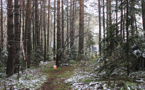 Юные путешественники