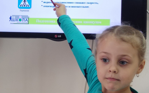 Зебра пешеходу друг