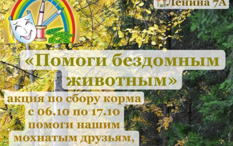 Помоги бездомным животным!