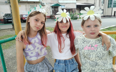 Ромашковое поле