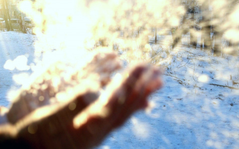 Зимняя сказка